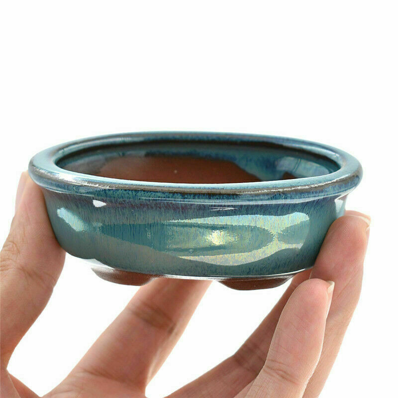 Blue Ceramic Bonsai Pot - Oval 20