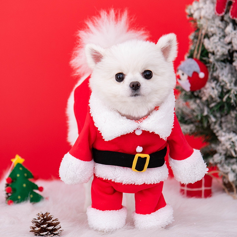 Doggie Santa Claus Pet Costume