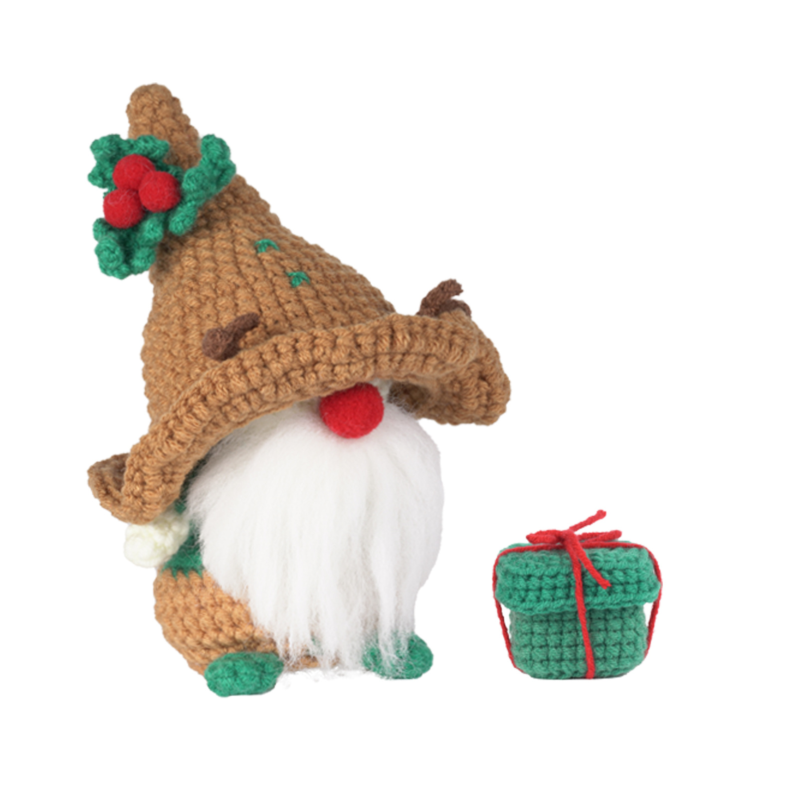 Christmas Crochet Kit for Beginner, Gnome and Reindeer Crochet Set with  Step-by-Step Video Tutorials for Adults and Kids, Crochet Starter Kit with