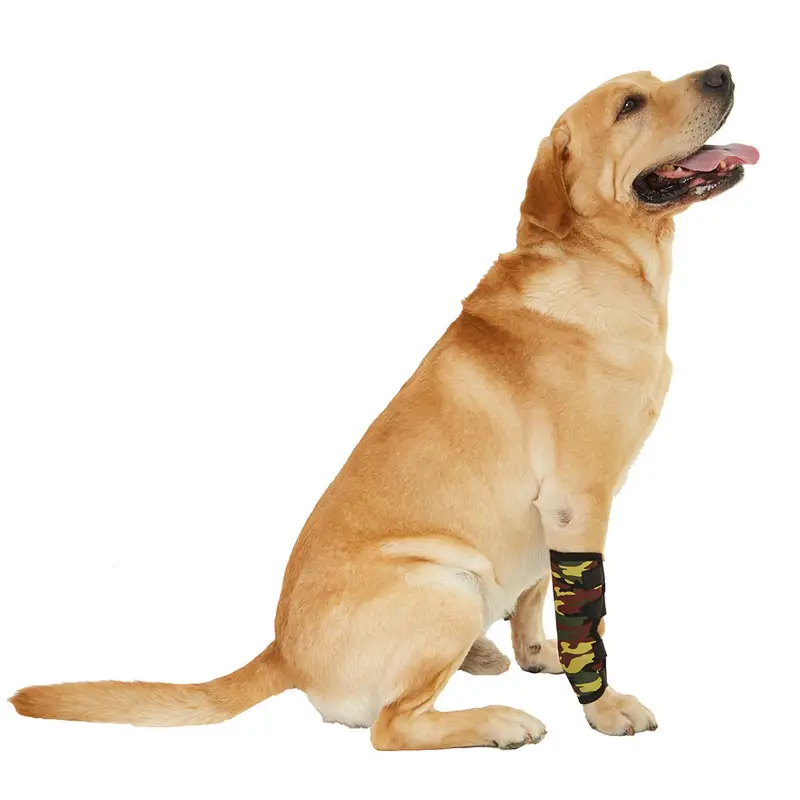 Jambe avant Chien Jambe Articulation Manches Chiens Accessoires