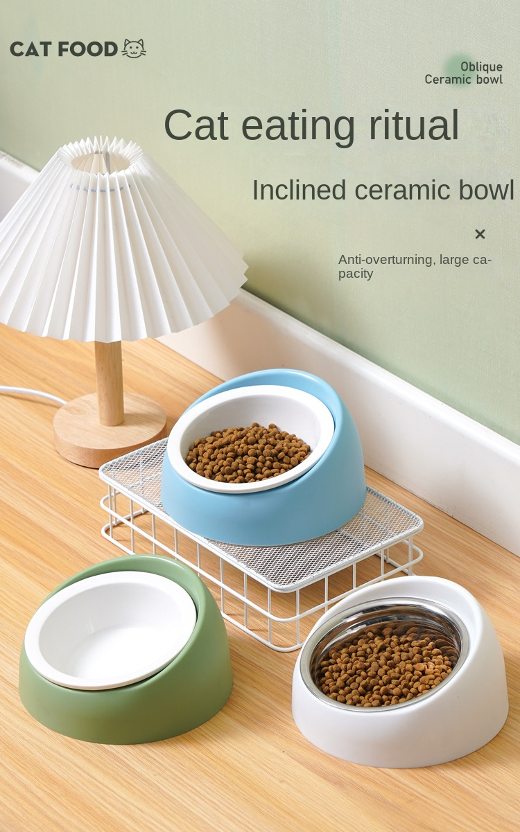 Raised Pet Bowls With Stand: Multifunctional Tilted Ceramic Dog Slow Feeder  Bowls For Food & Water - Anti-overturning Design - Temu