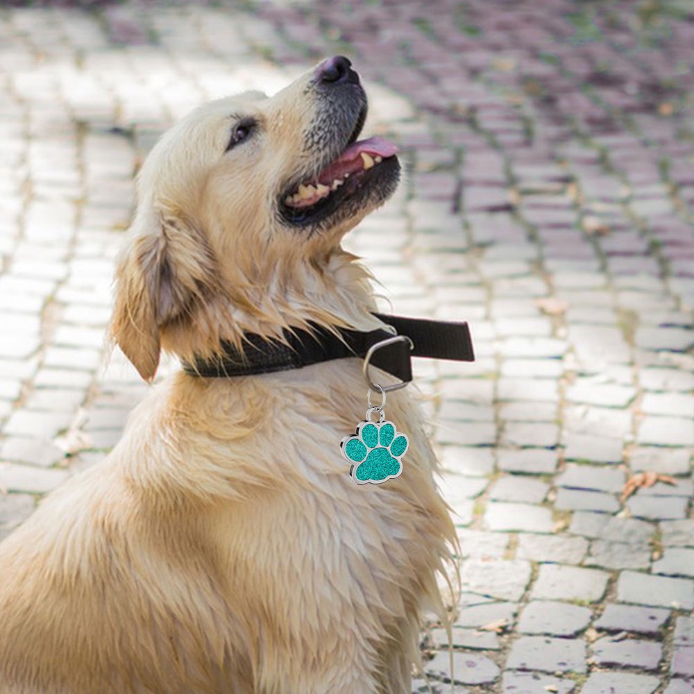 パーソナライズされたペット ID タグかわいい足跡犬タグ名札ペット名札