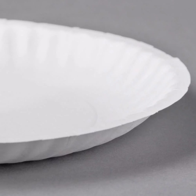 6 /9  Uncoated White Paper Tray In Bulk, Disposable Plate, Suitable for  Food, Dessert or Crafts. 