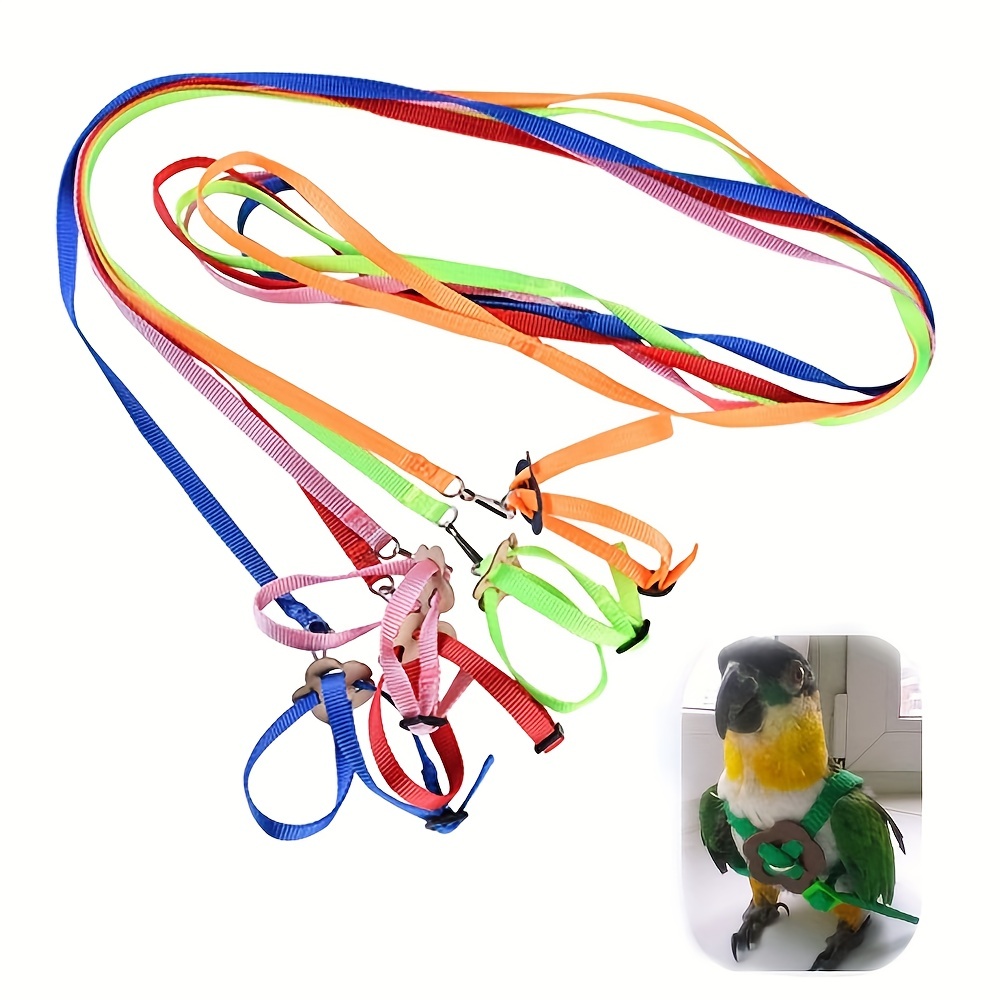 Pet Parrot Bird Harness Adjustable Training Leash Design - Temu