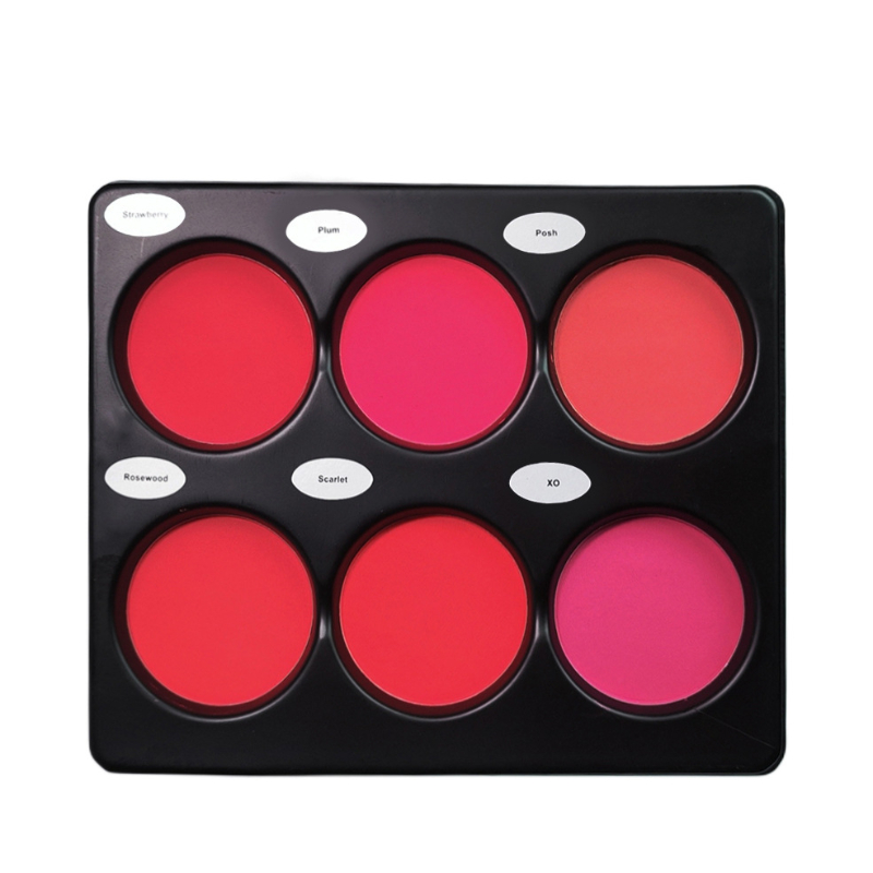 Powder Bright Facial & Highlight Facial Makeup Palette