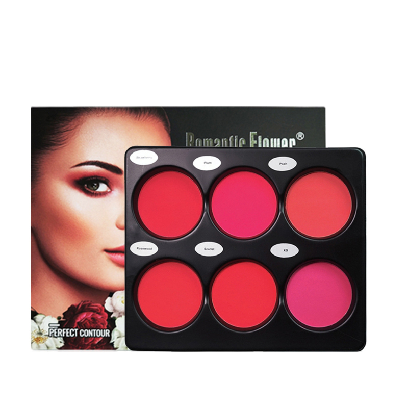 Powder Bright Facial & Highlight Facial Makeup Palette