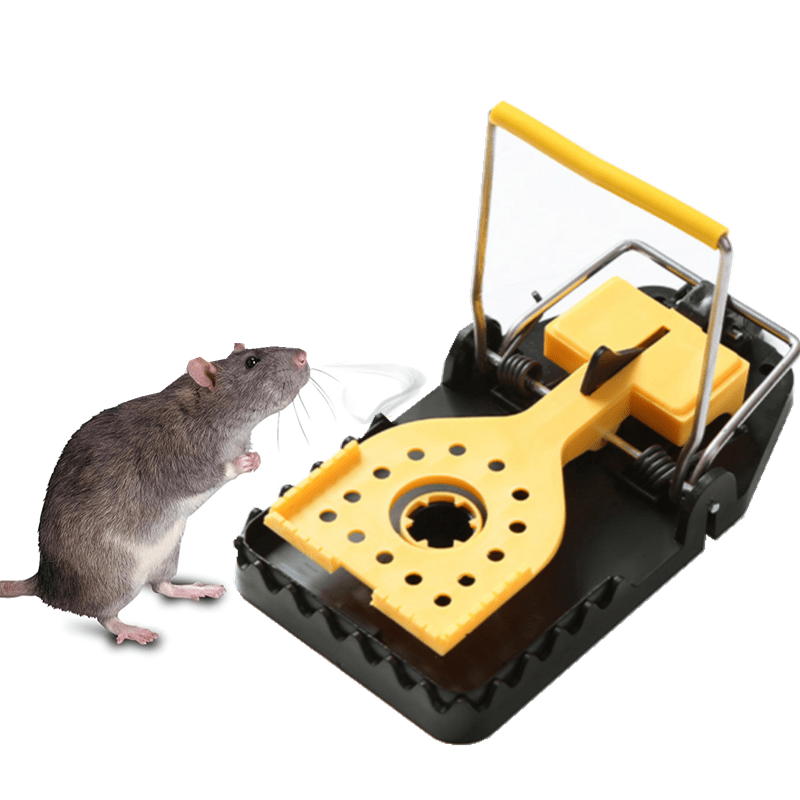 Rat Cage Mousetrap Household Mouse Exterminator Indoor - Temu