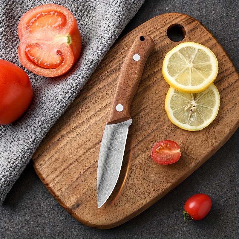 Outdoor Fruit Knife, Small Kitchen Knife, Kitchen Slicing Knife, Outdoor  Small Knife L9195 - Temu