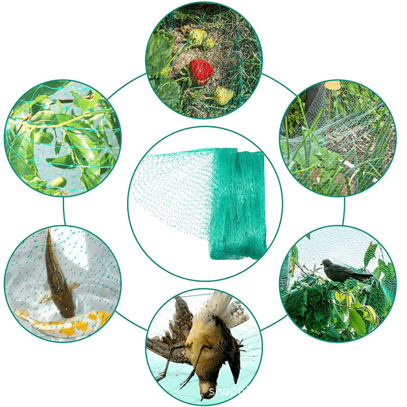 Green Anti Bird Protection Net Mesh Garden Plant Netting - Temu