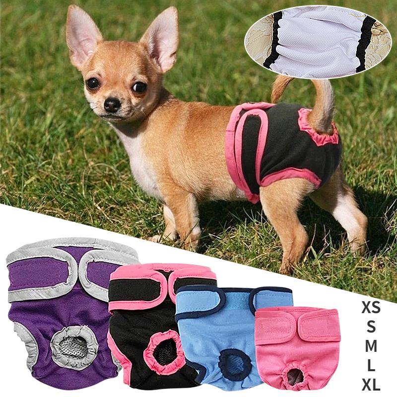 Lovely Breathable Pet Physiological Pants Striped Female Dog Sanitary  Panties Shorts Underwear Sanitary Diaper Washable Shorts - AliExpress