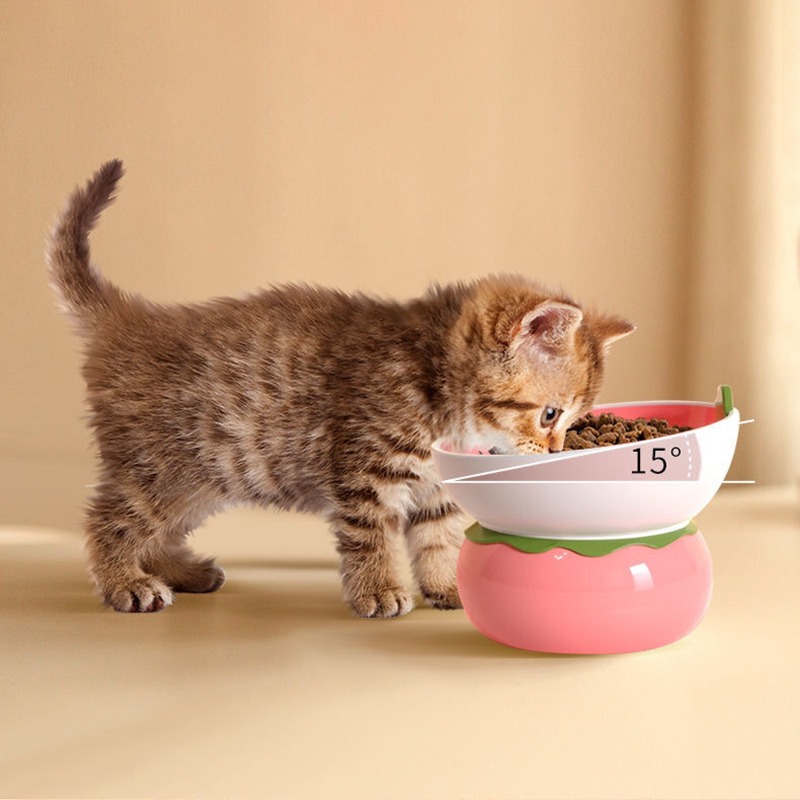 Ceramic Raised Cat Food Bowl Fruit Shaped Elevated - Temu