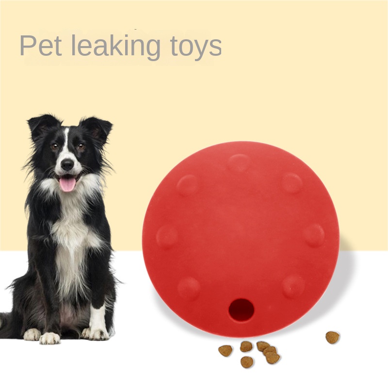 Silicone Dog Border Collie, Silicone Flying Saucer