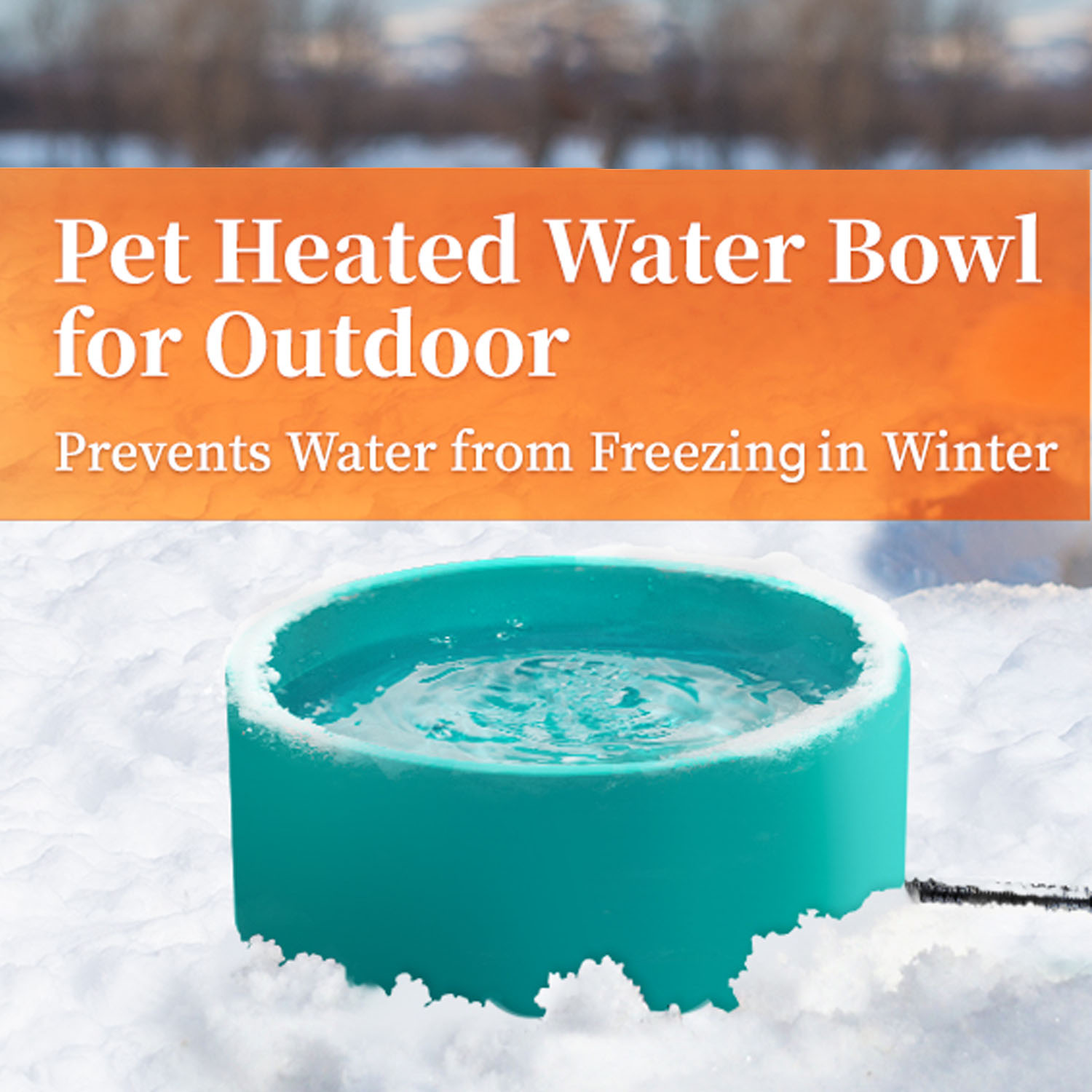 Dog Water Heated Bowl Large Capacity Dog Feeding Basin - Temu