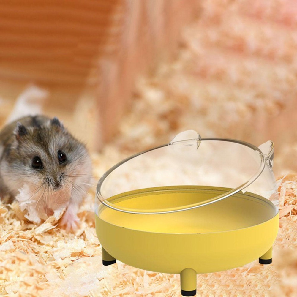 Bac à sable pour Souris et Hamsters - Produits d'hygiène