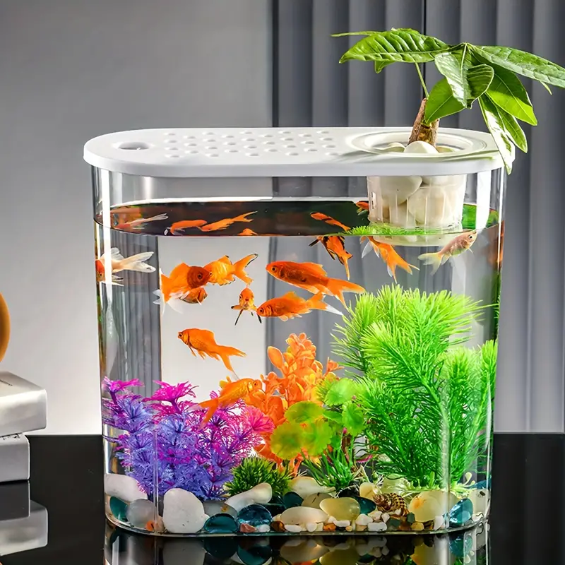 Goldfish Tank Tabletop Transparent Elliptical Hydroponic - Temu Canada
