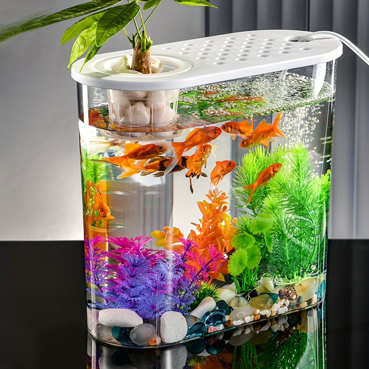 Goldfish Tank Tabletop Transparent Elliptical Hydroponic - Temu