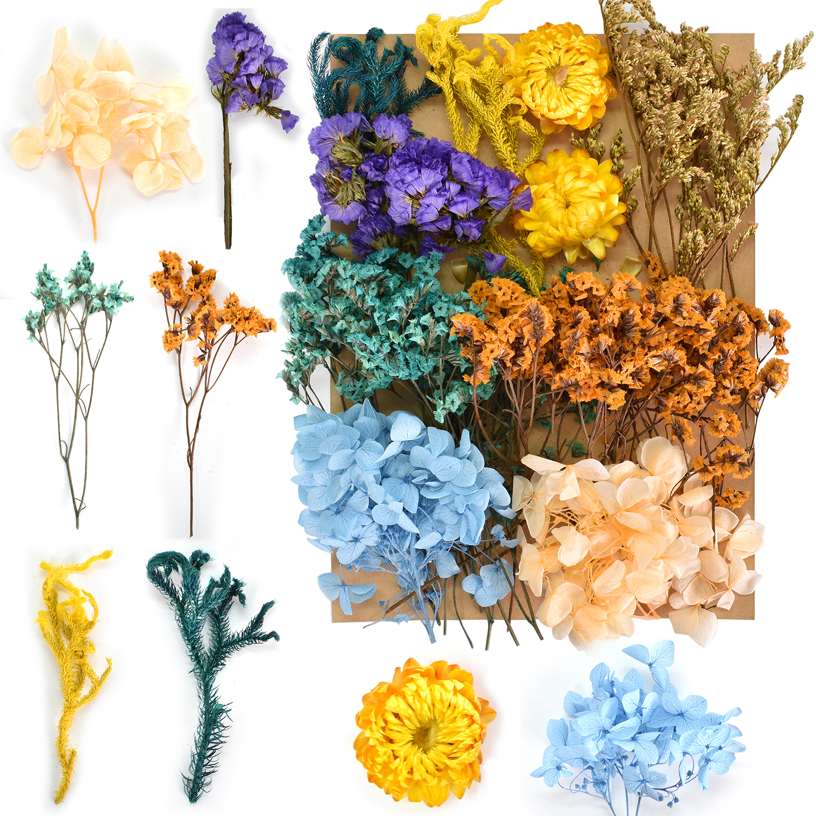 Real Dried Pressed Flowers Leaves Petals Scrapbooking DIY Art