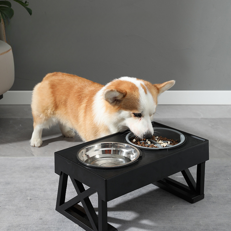 Elevated Dog Double Bowls With Height Adjustable Plastic - Temu