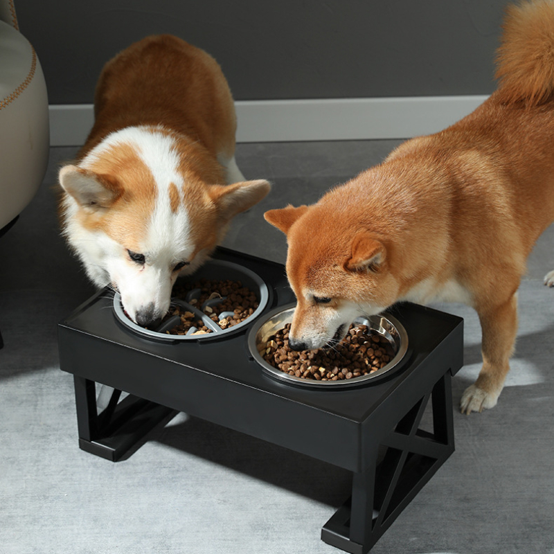 Elevated Dog Bowls Tilted Adjustable Raised Dog Bowls tilted - Temu