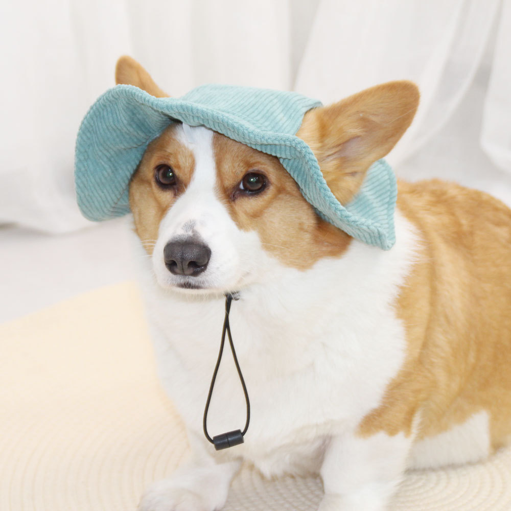 Corgi hat with outlet ears