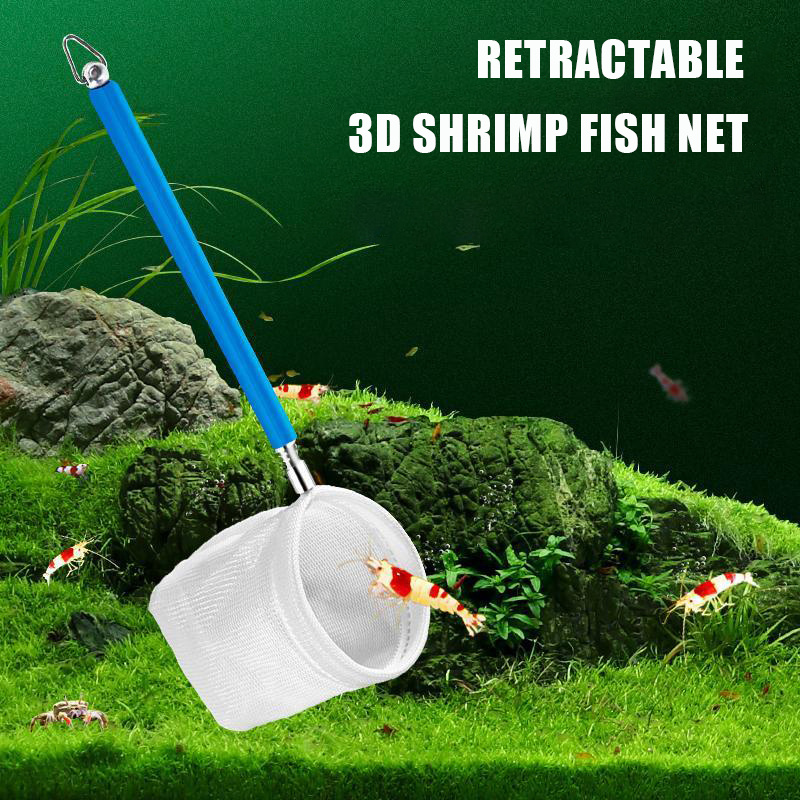 3d Telescopic Fish Tank Catch Net Aquarium Catching Shrimp Net Retractable  Small Stainless Steel Rod Round Shape Fishing Net - Temu United Kingdom