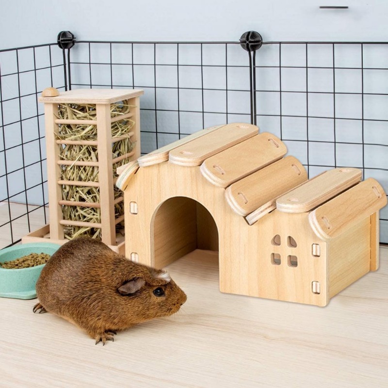 Hamster hotsell fun house