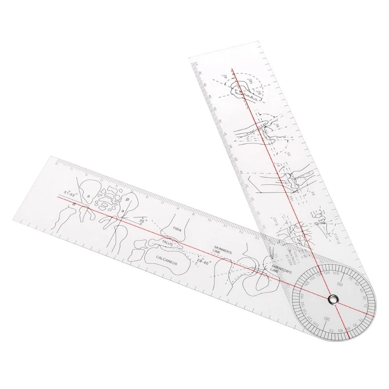 1pc 12 Pollici Goniometro Trasparente Ortopedico Angolo - Temu Italy