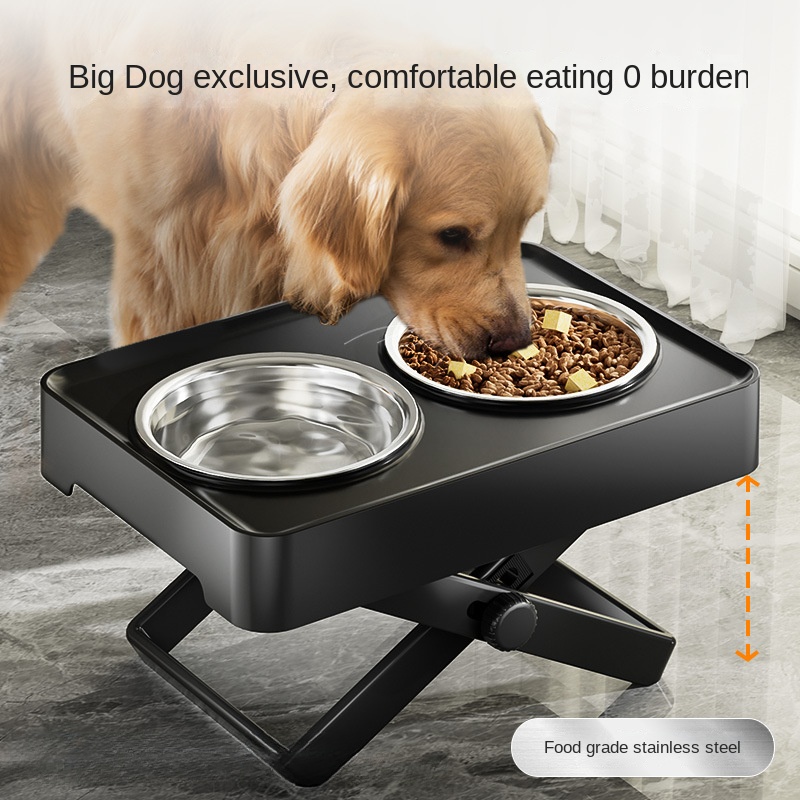 Stainless Steel Dog Food Bowl Elevated Dog Double Bowl - Temu