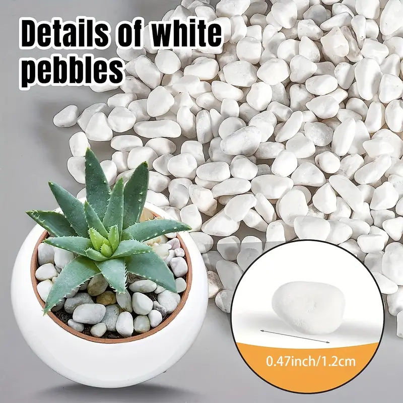 1bag White Rocks White Pebbles For Succulent Garden Decor - Temu