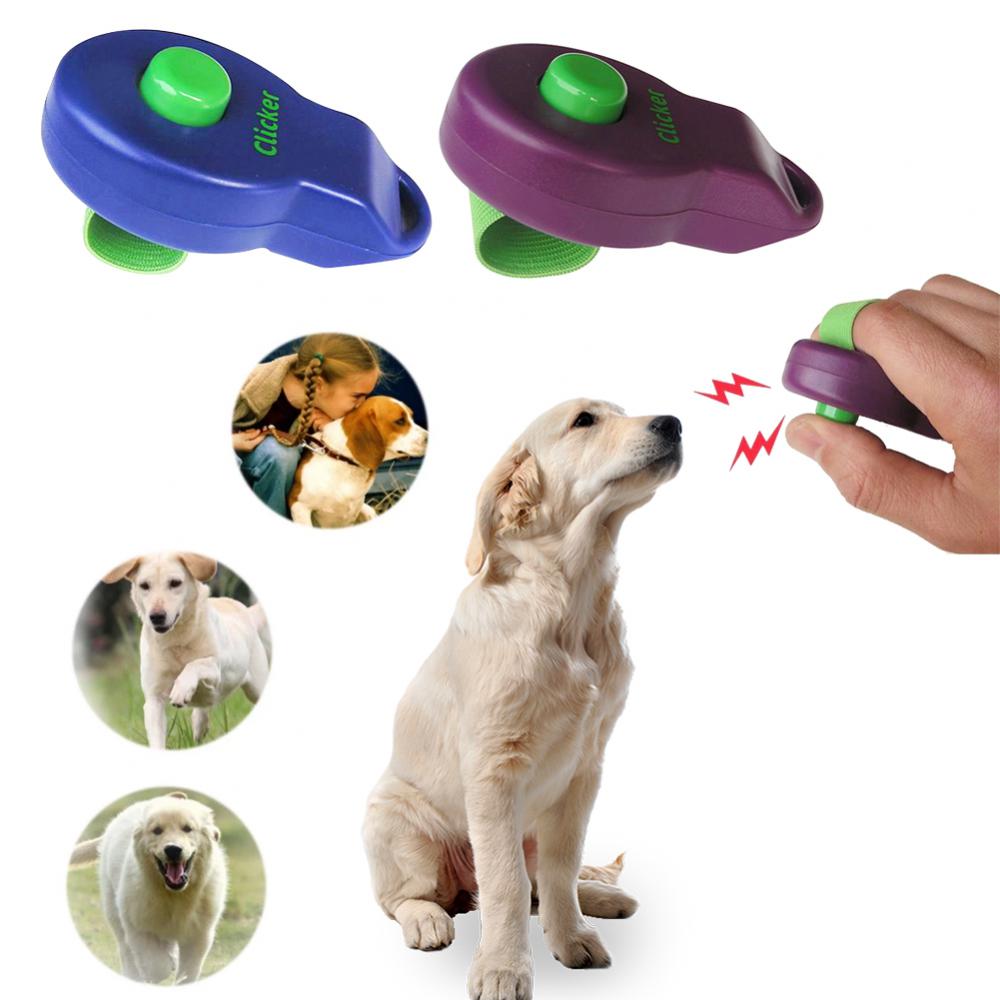 3 Best Dog Training Clickers (11+ Tested & Reviewed!) - Dog Lab