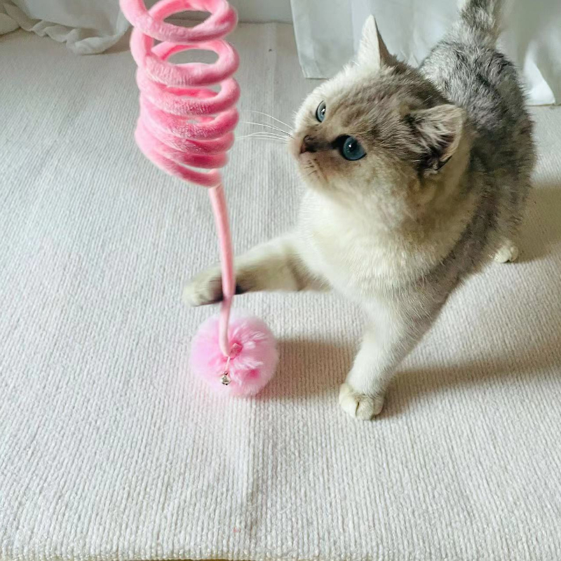 Cat Toys For Indoor Cats, Attractive Relieve Boredom High Elasticity Rope  Simulation Balls