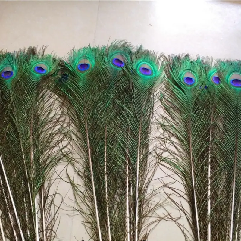 Peacock Feathers Long Bulk Natural Feathers For Vase Craft - Temu