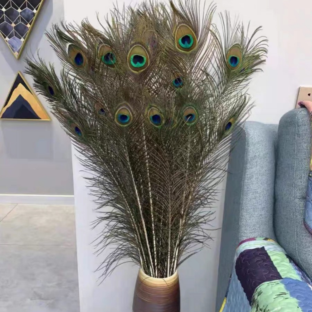 Beautiful Natural Peacock Feathers / For Tall Vases Home - Temu
