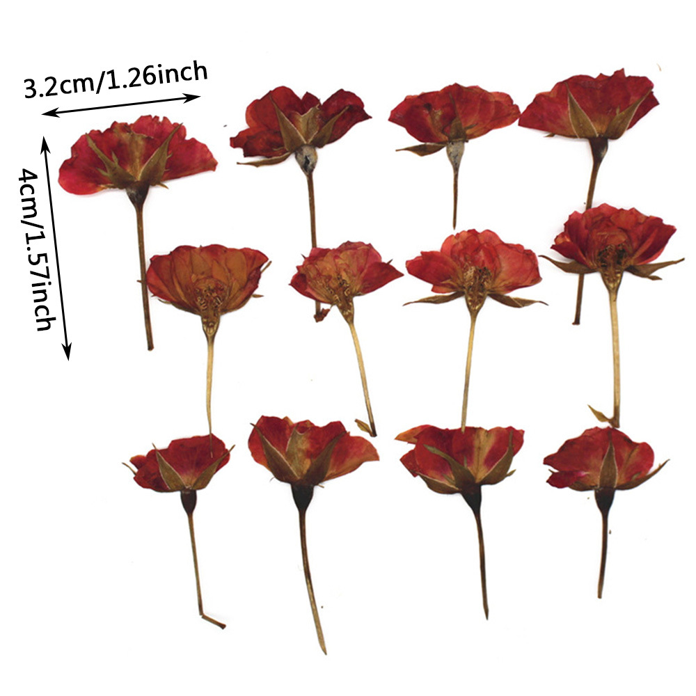 Flores Secas con Tallo Rojas para Resina - Megabyte Papelería, C.A.