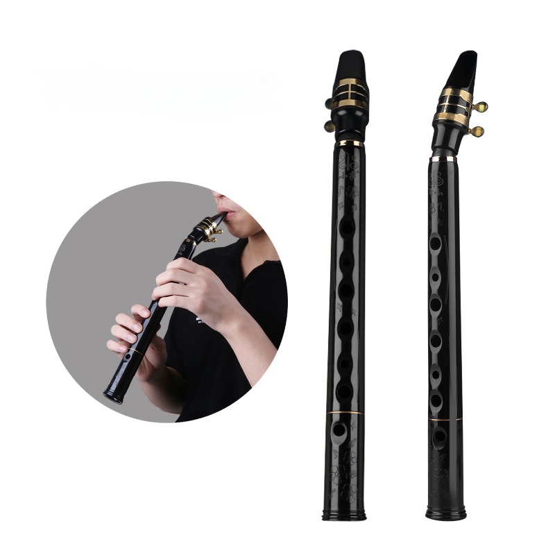 Pocket Saxophone Mini Sax Portable Woodwind Music Instrument with Carrying  Bag Small Saxophone Simple Clarinet