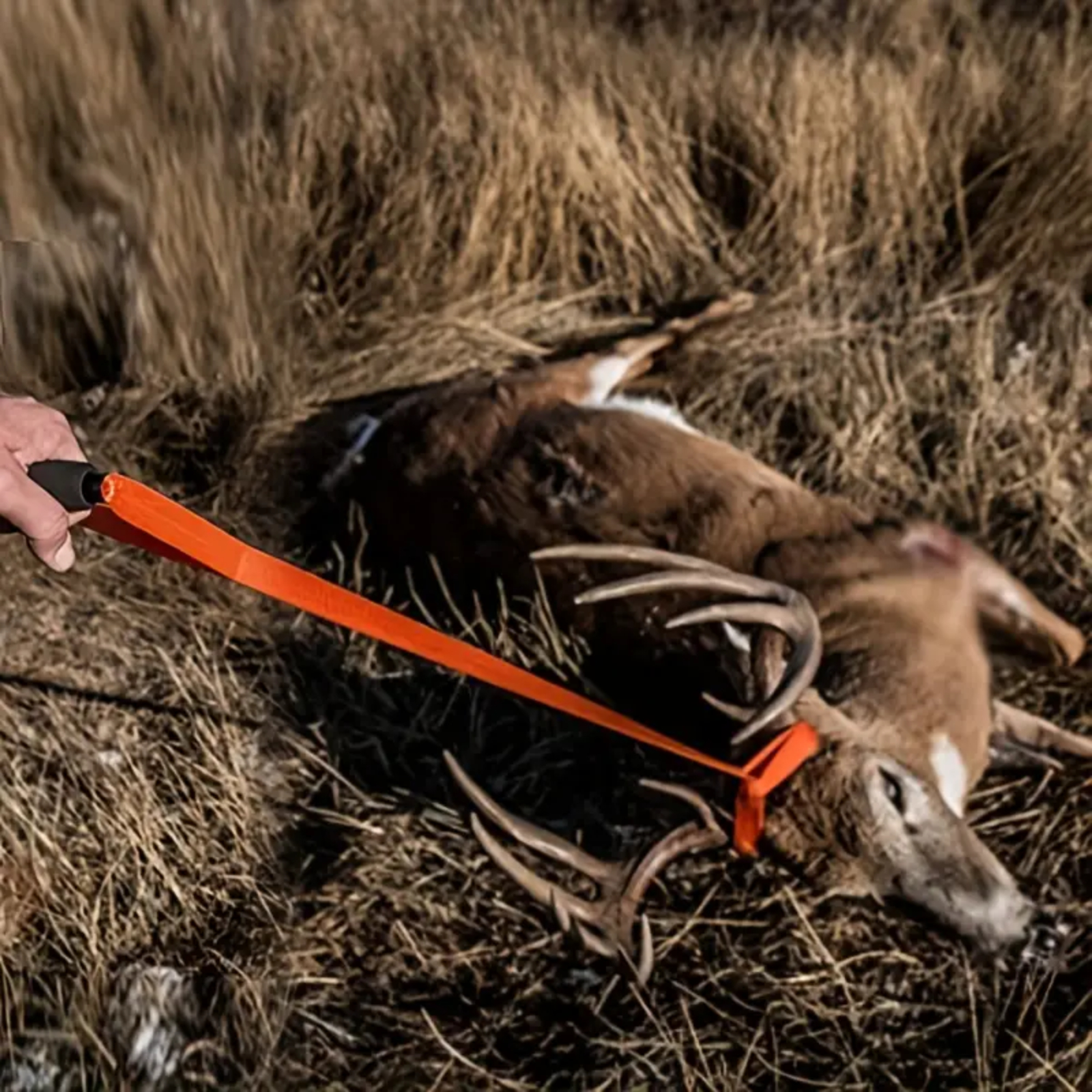 Professional Deer Drag Harness Heavy Duty Deer Sled Outdoor - Temu