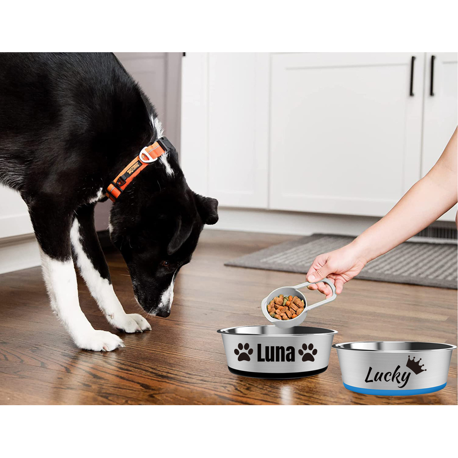 Customizable Stainless Steel Dog Bowl with Non-Slip Base