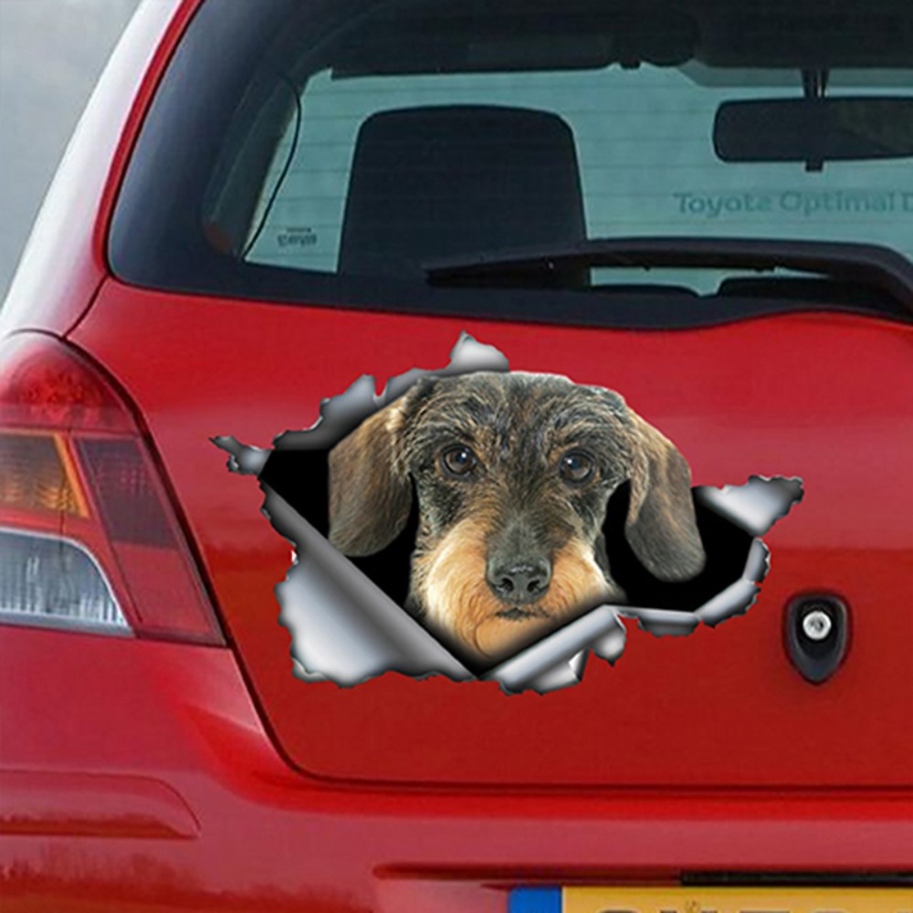 Draht haarige Dackel Auto Sonnenschutz, Hunde Windschutz scheibe