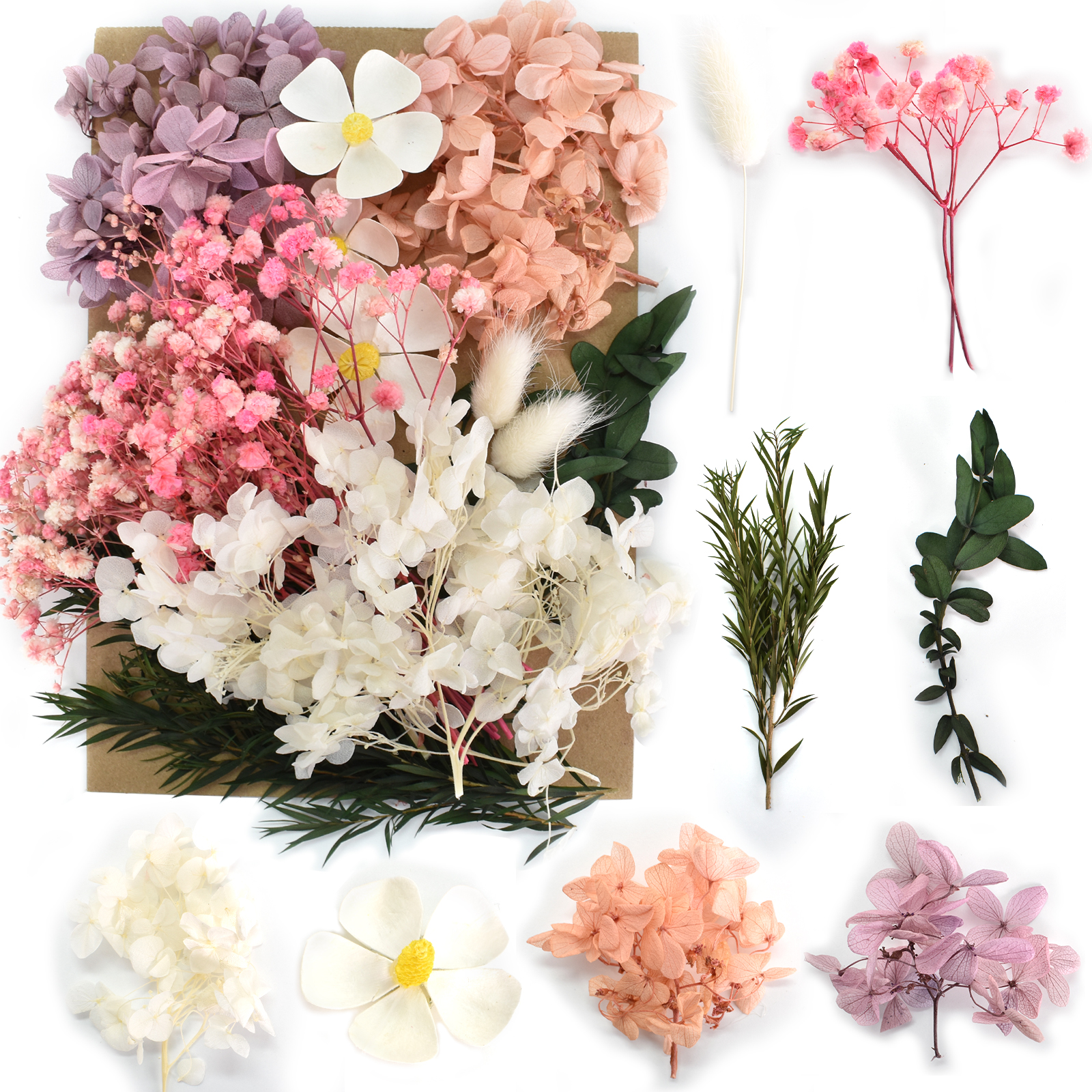 Flores Secas Naturales Reales - Temu