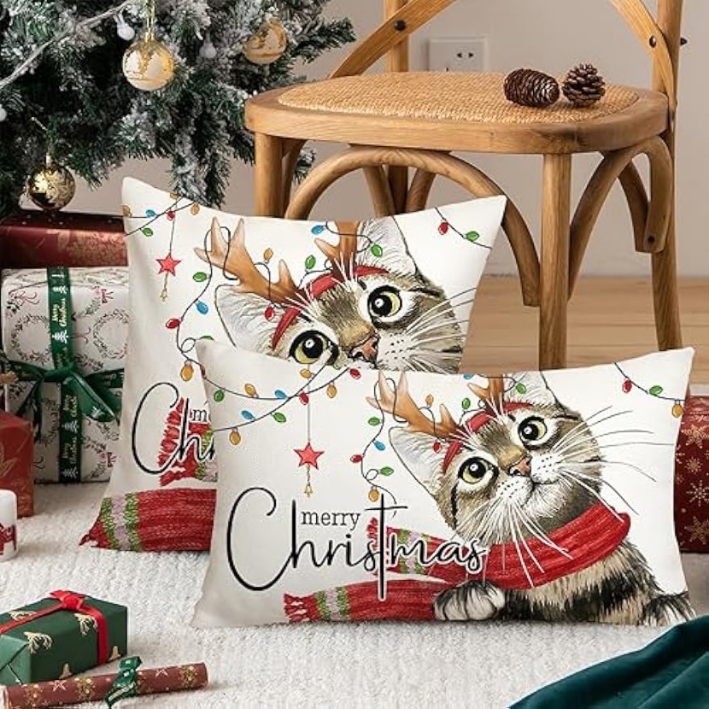 Christmas 2025 cat pillow