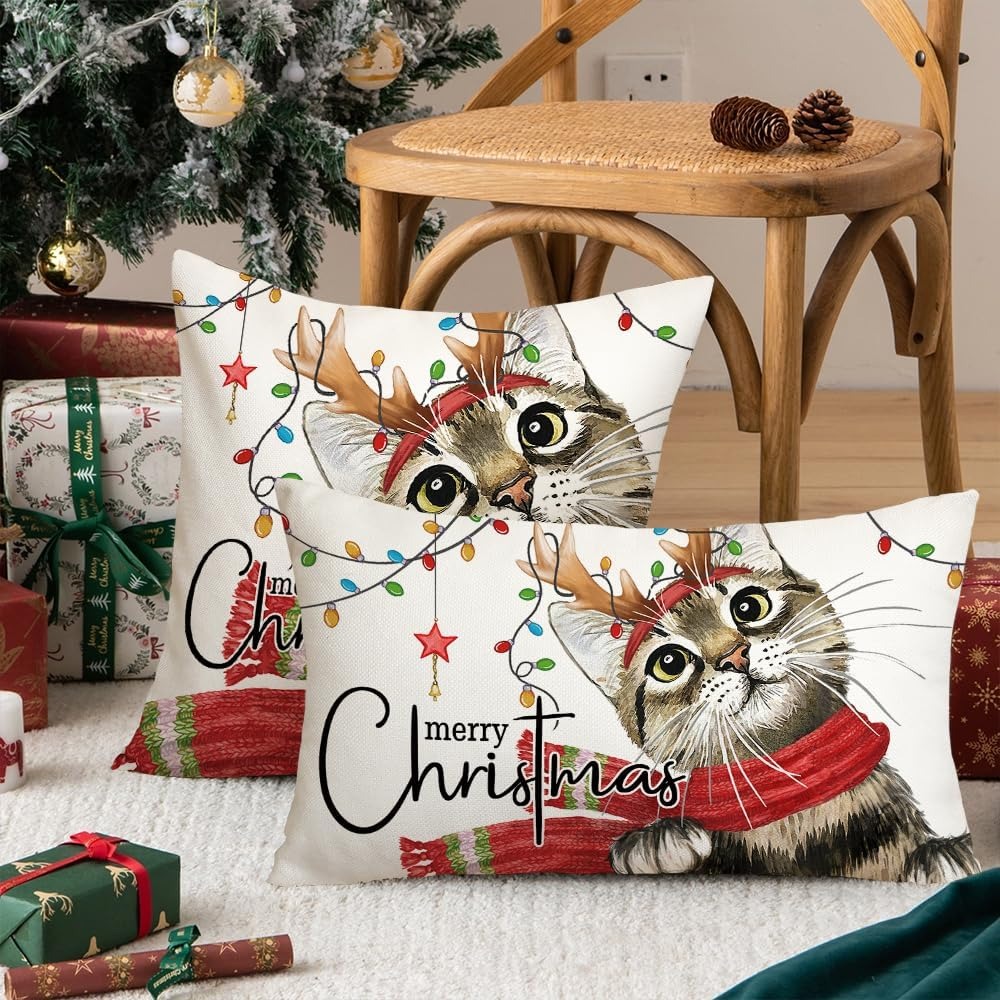 Holiday throw best sale pillow covers 20x20