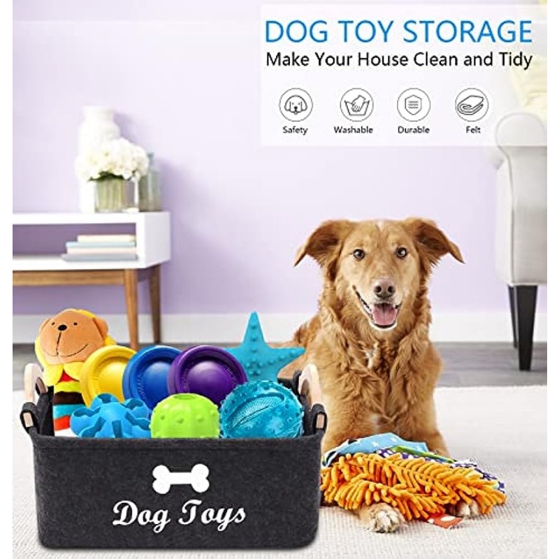 Accessoires et jouets pour chiens