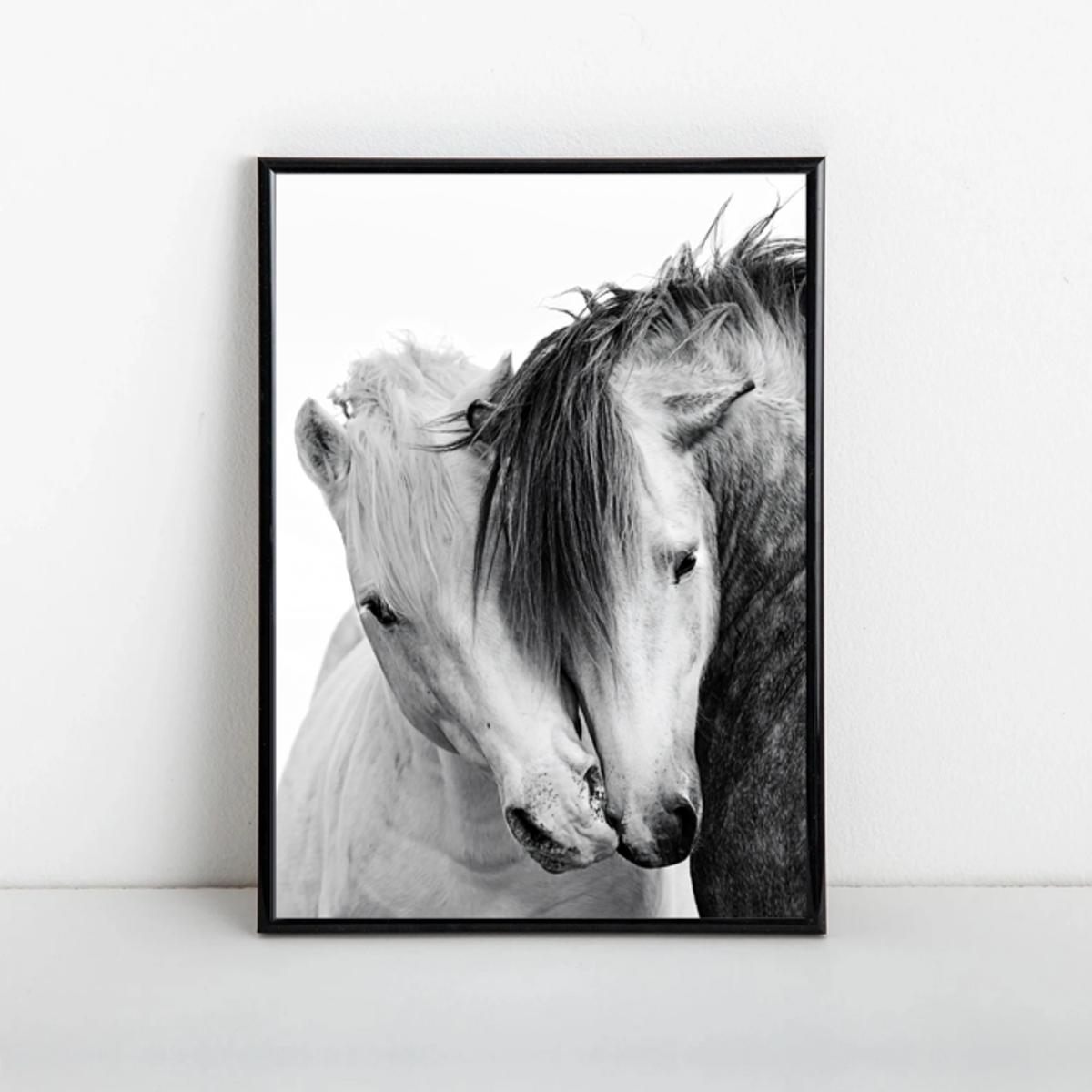 Horse floss paper poster no frame wrapped canvas wall decor full size