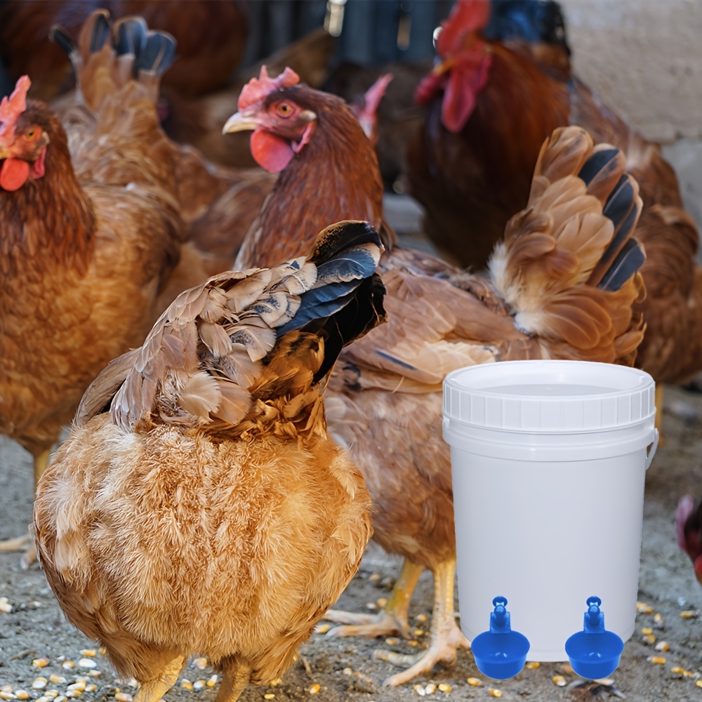 Fall CHICKEN Waterer Red Feeder Water Bucket, Halloween Special, 4 Cup  Style, Pullets, See Our DIY Kits Free Shipping 