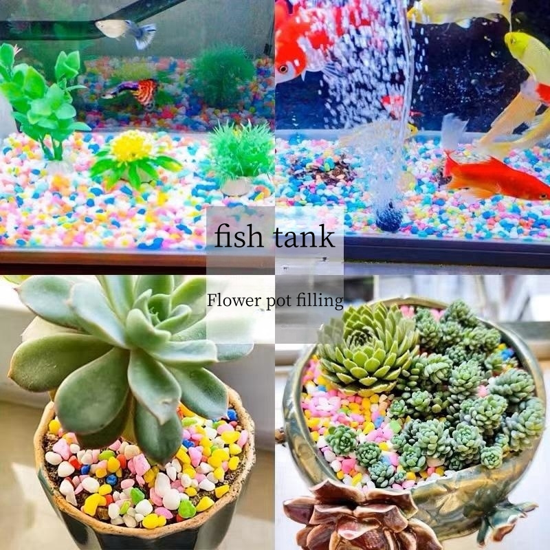 Galets lisse naturel-Pierre multicolore décoratif (Aquarium,vase,bonzai,vivarium