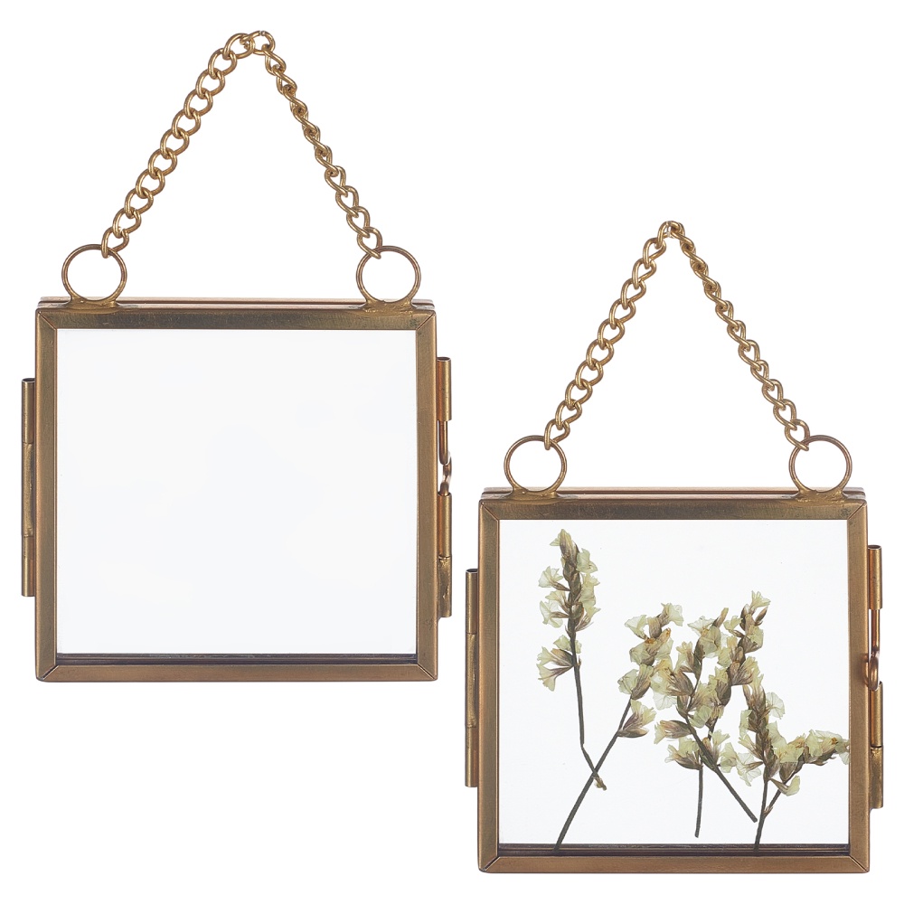 Brass Glass Floating Frame For Display Pressed Dried Flowers - Temu United  Arab Emirates