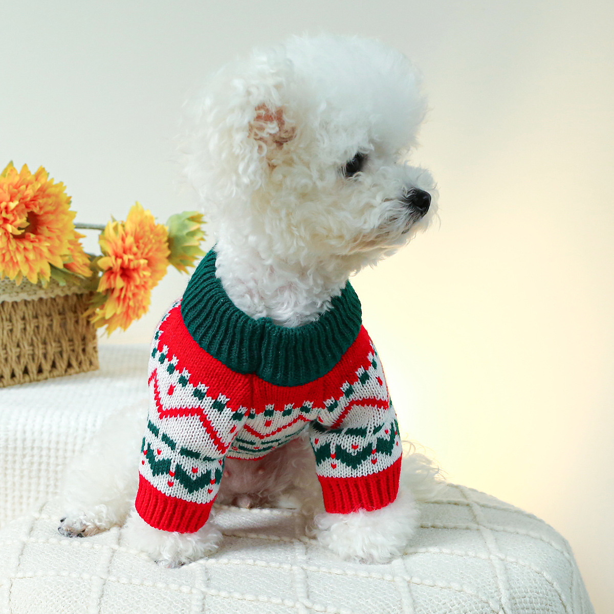 Dog clearance holiday sweaters