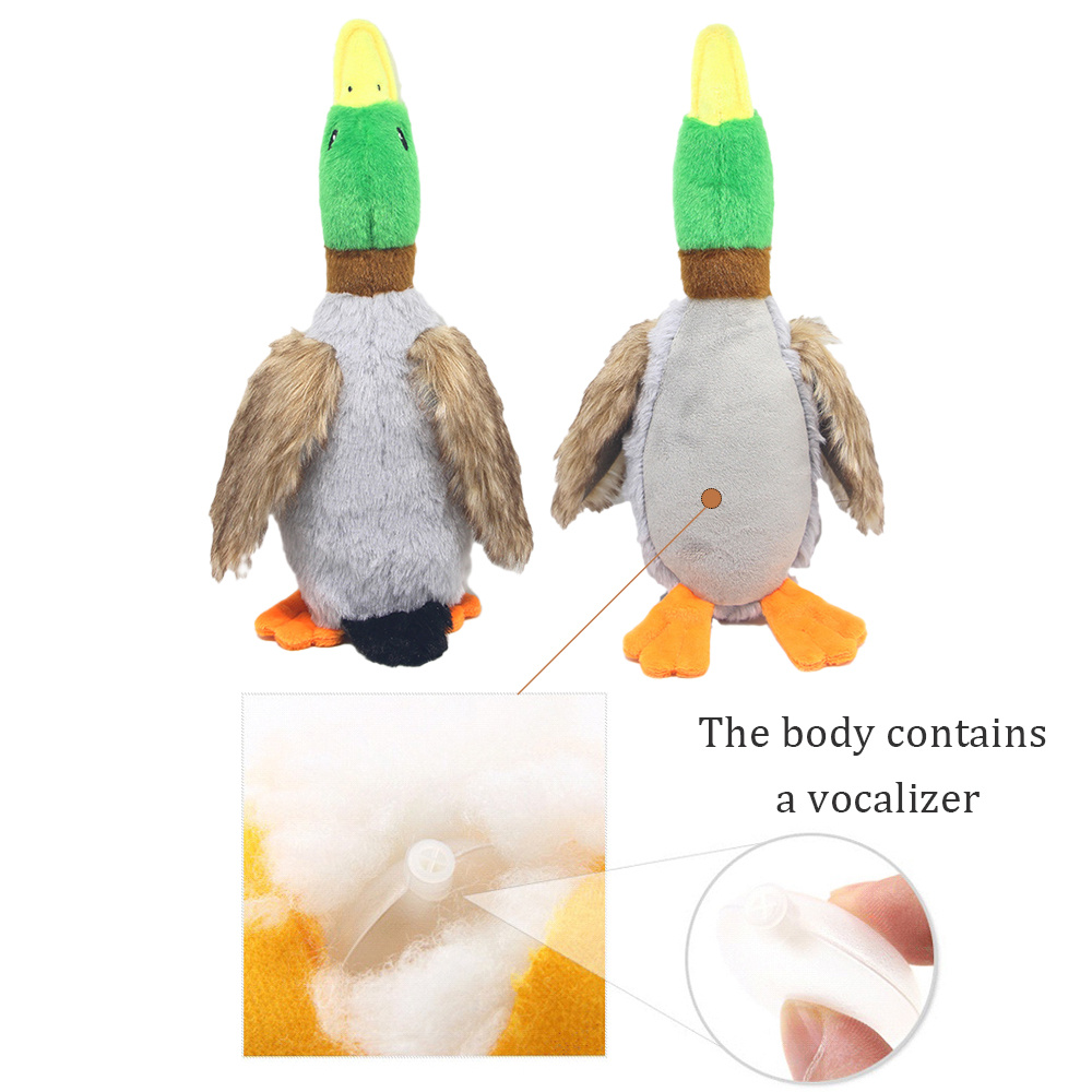 Walmart duck dog on sale toy