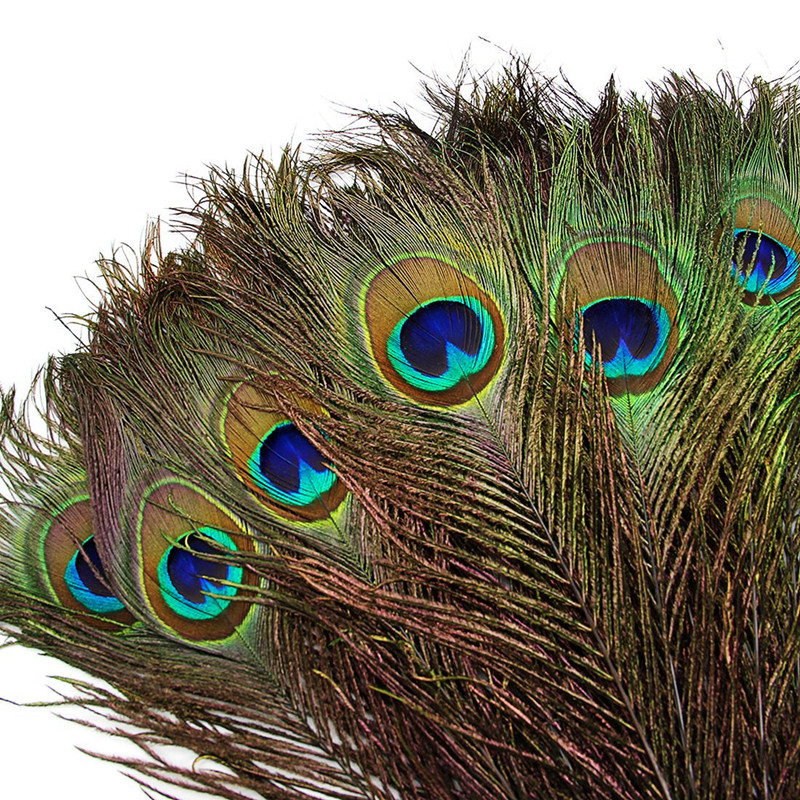 

10pcs Natural Artificial Peacock Feathers Women's Headwear Diy Plume Furnishing Special Headwear Home Party Wedding Jewelry Decorative Accessories 10-12inch/25-30cm