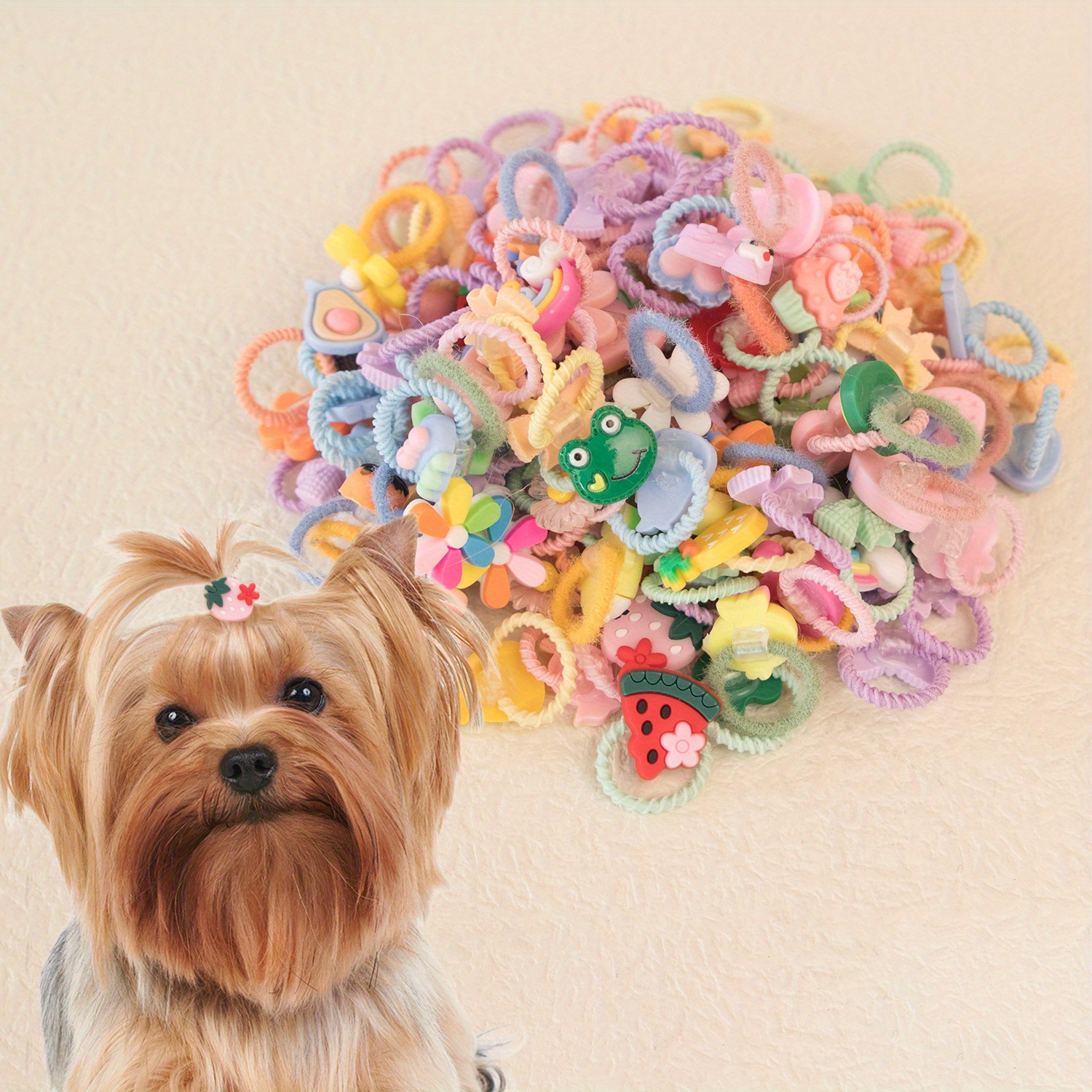 Dogs store with scrunchies